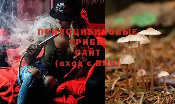 PSILOCYBIN Арсеньев