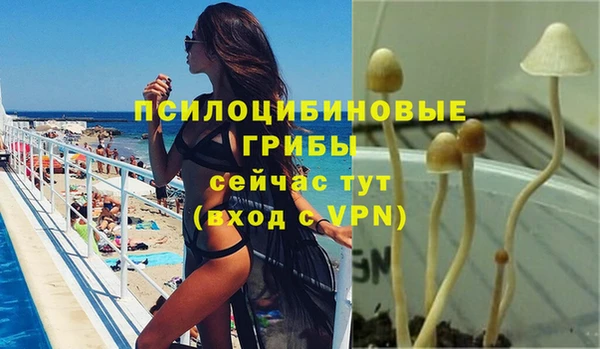 ALPHA-PVP Алексеевка