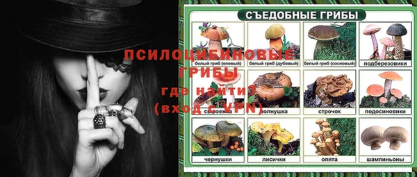 ALPHA-PVP Алексеевка