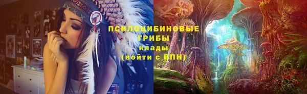 стаф Алексин
