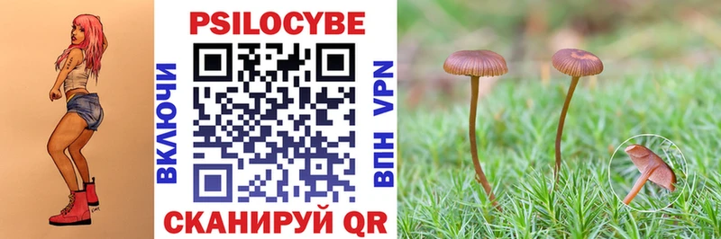Галлюциногенные грибы ЛСД  Багратионовск 